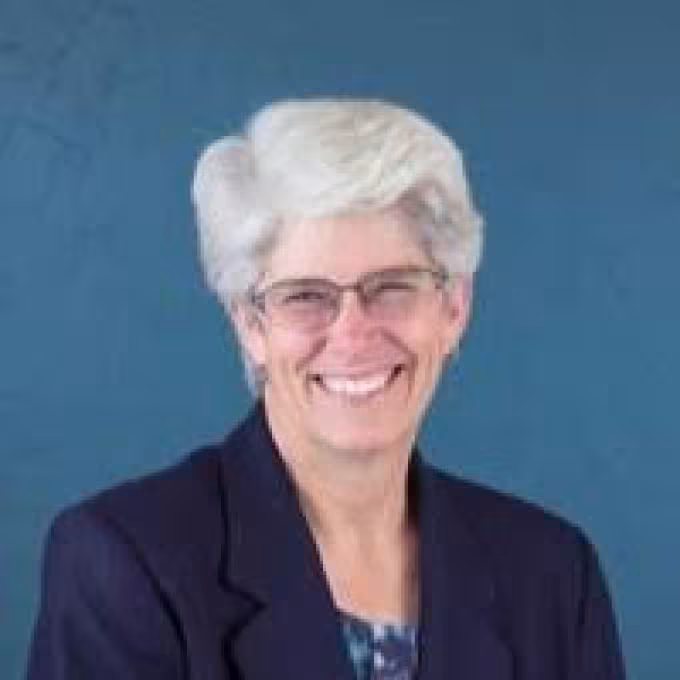 Terry Cluse-Tolar, PhD, MSW
