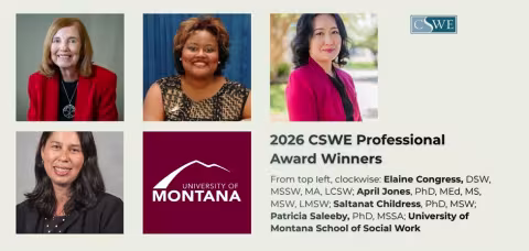 2026 CSWE Professional Award Winners